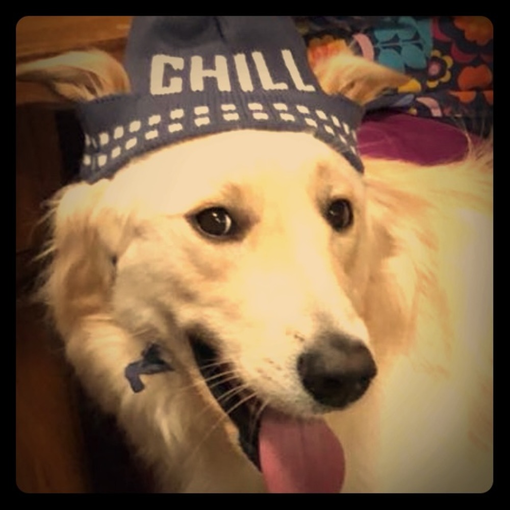 Meet your Posher, Rosalind